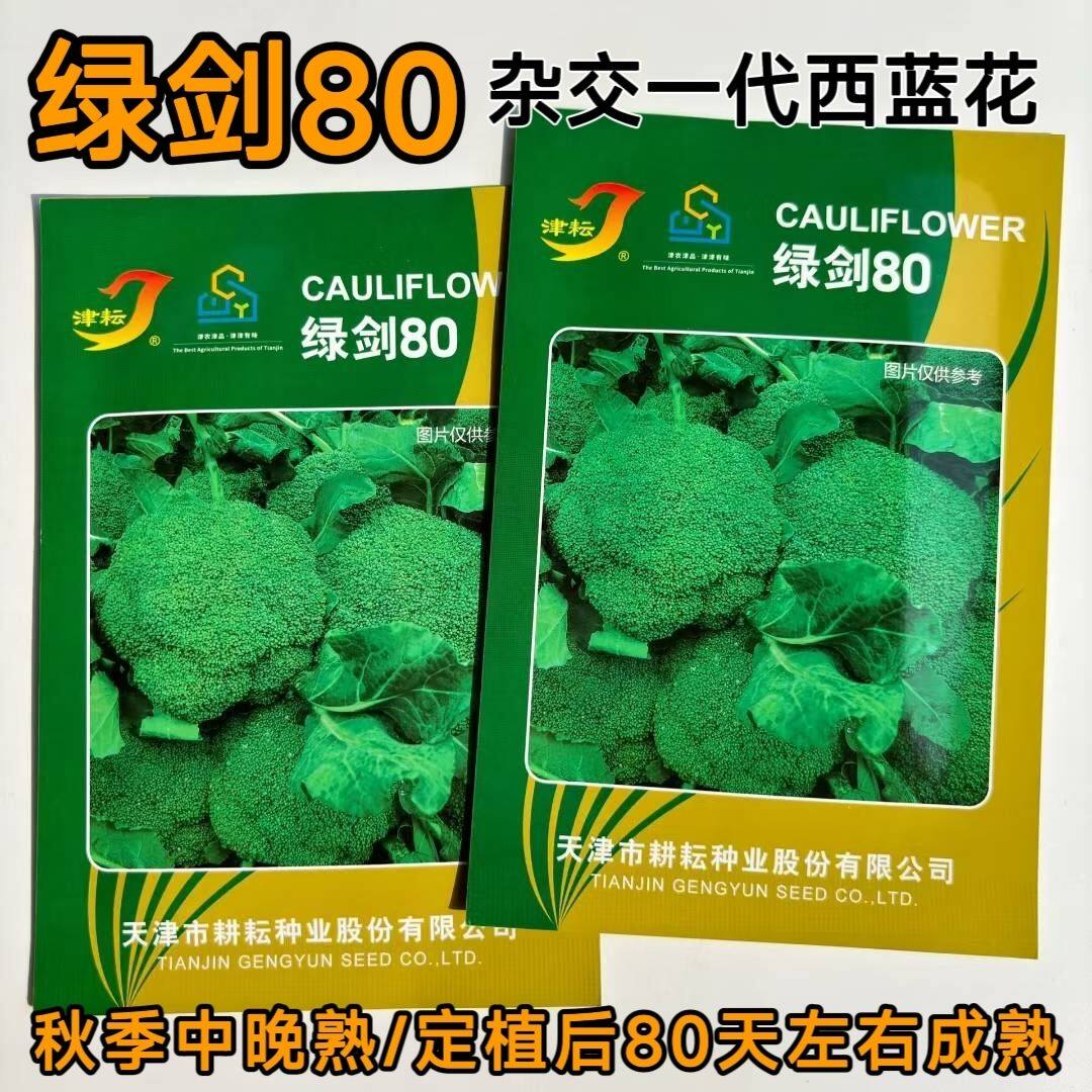 津耘绿剑80西兰花种子杂交西蓝花青花菜绿色花椰菜种子秋播蔬菜籽