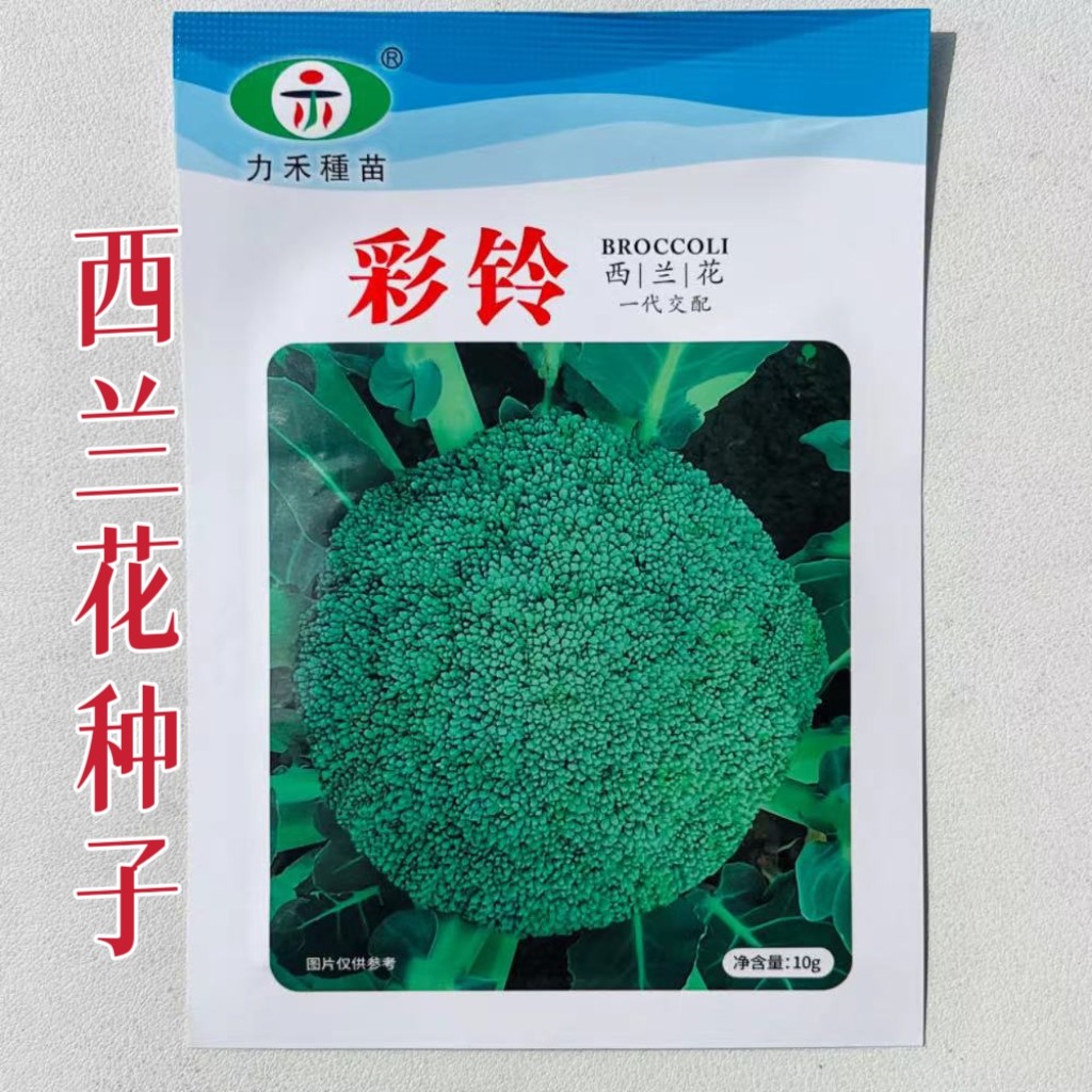 彩铃西兰花种子农家秋播西蓝花绿花菜种籽一代杂交抗病丰产蔬菜孑