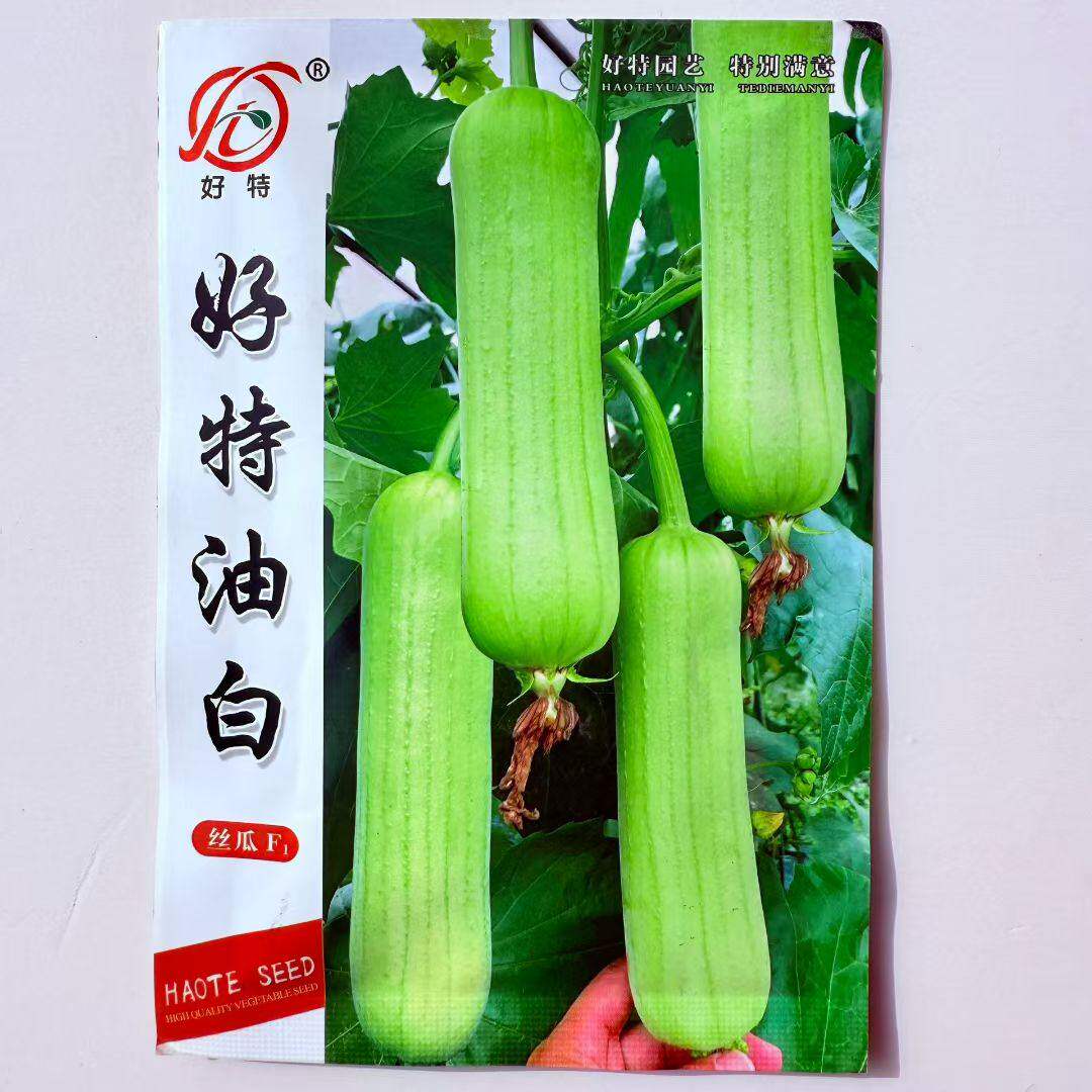 好特油白丝瓜种子F1 中短棒甜白丝瓜 硬度好皮光滑有光泽高产10克