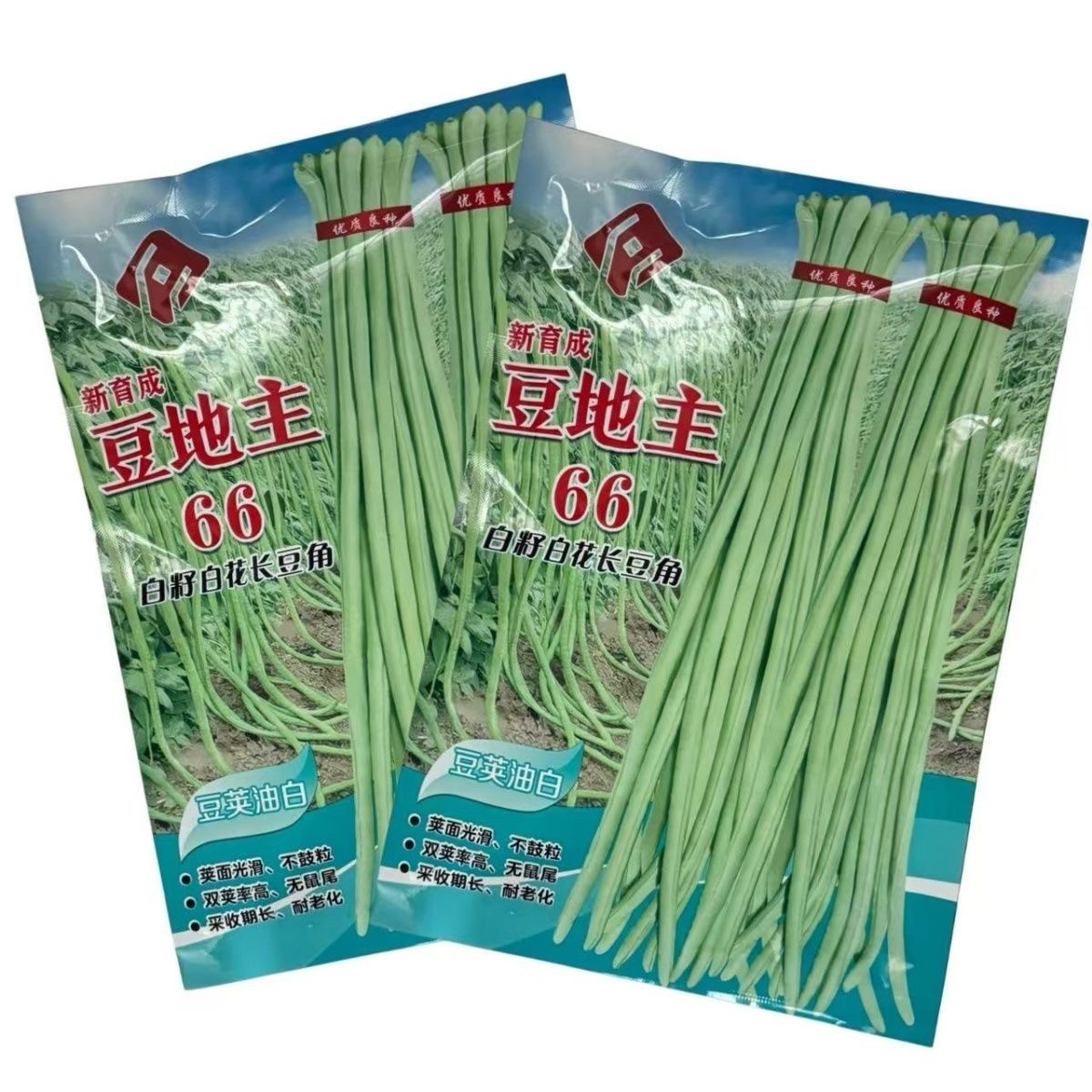 豆地主66油白长豆角种子耐热好白籽白花豇豆无鼠尾双荚率高甜豆角