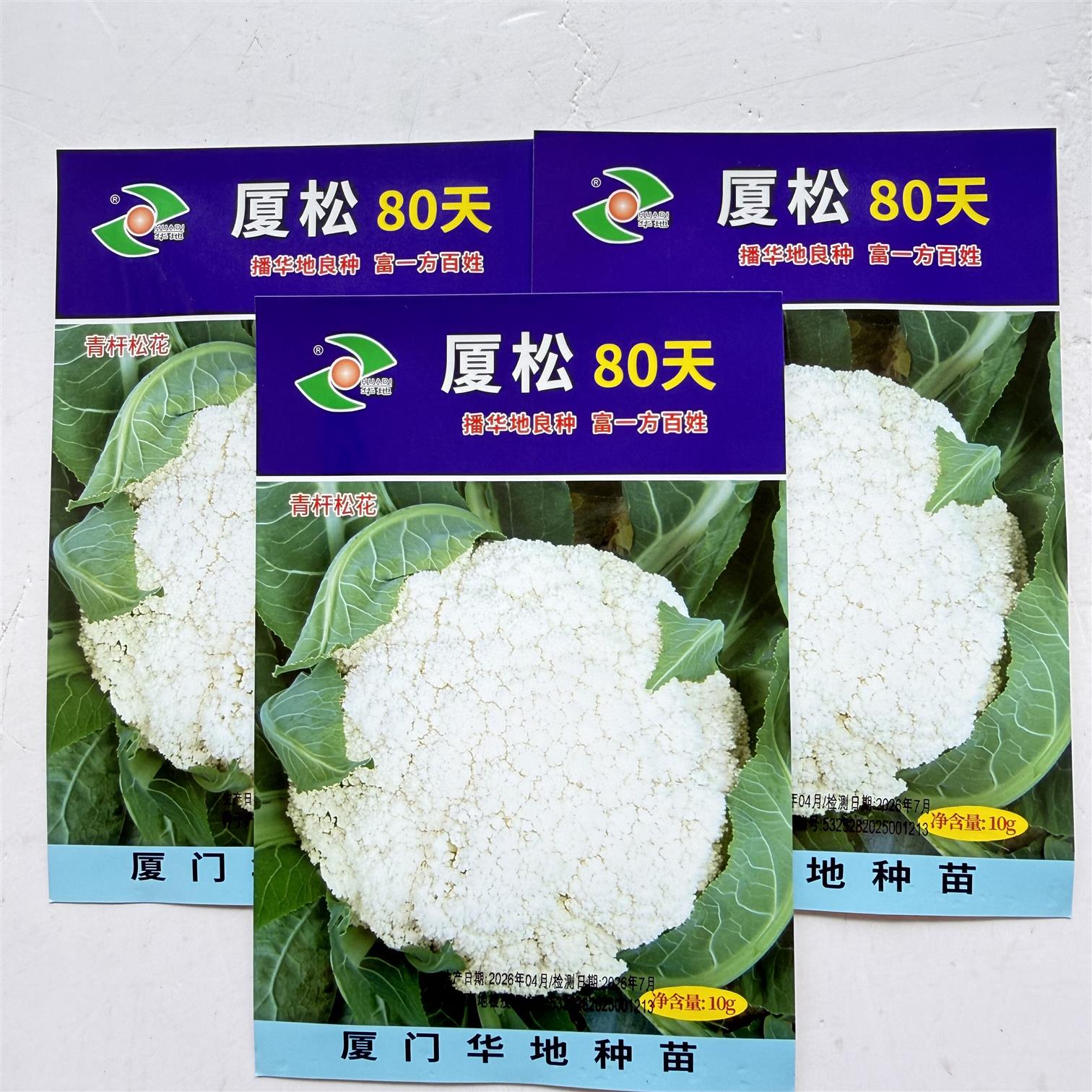 厦松80天青杆松花菜种子中熟有机散花菜耐热秋播花椰菜种蔬菜种籽