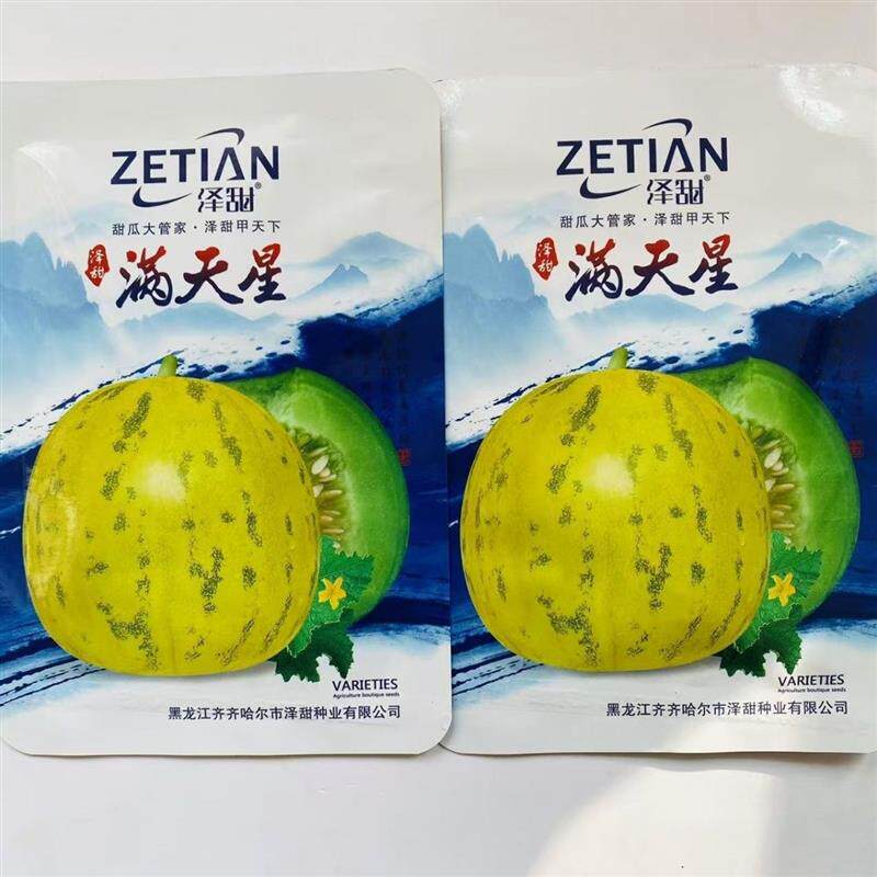 满天星甜瓜种子 花皮豹点薄皮香瓜种子高糖抗病花皮甜瓜种籽孑