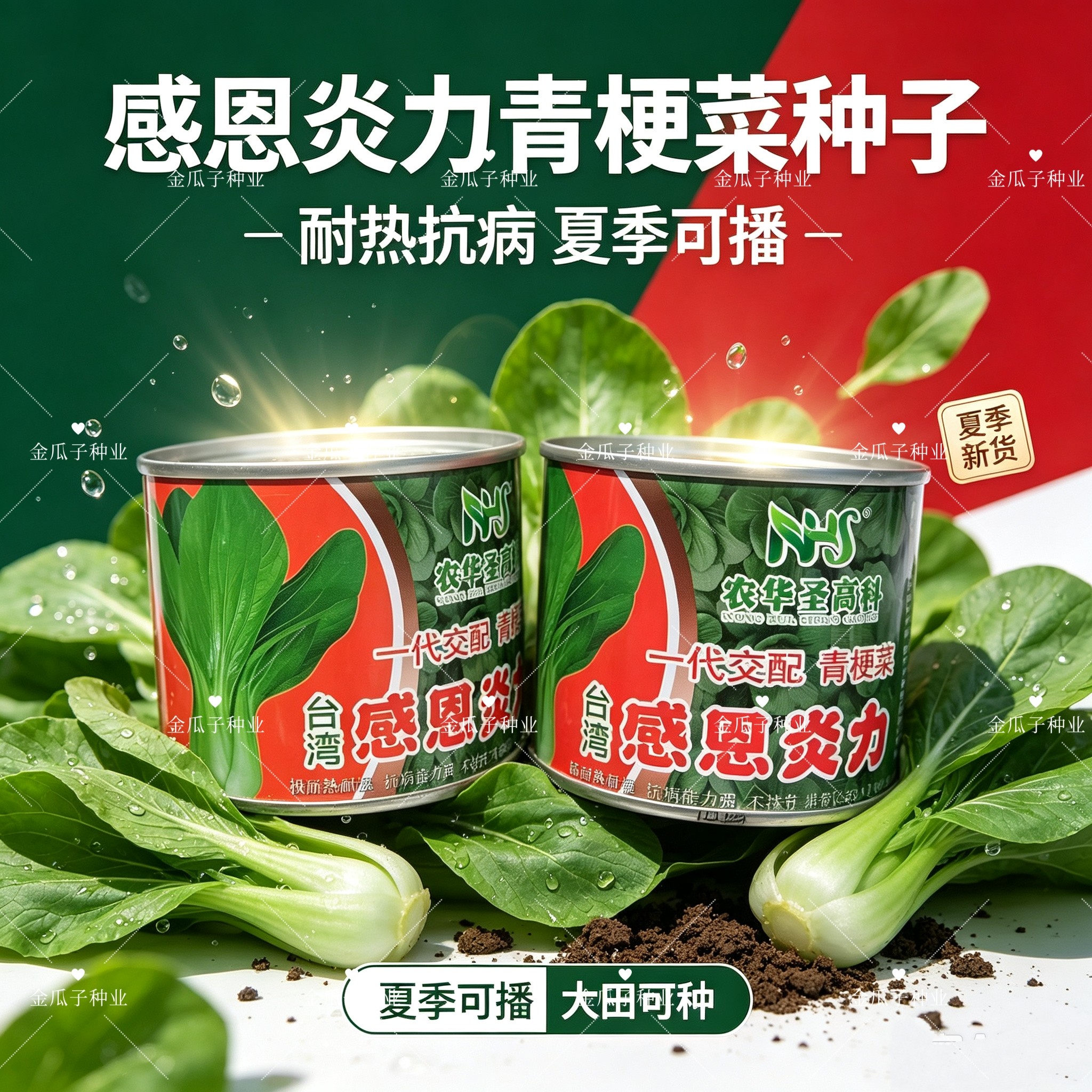 感恩炎力青梗菜种子亮绿速生抗热抗病苏州青青菜种籽春夏秋季播种