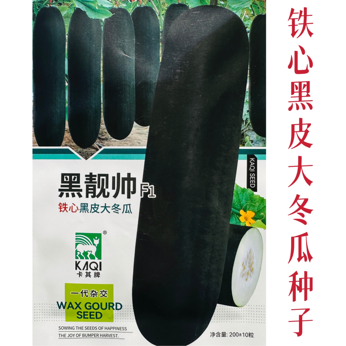黑靓帅铁心黑皮大冬瓜种子春播耐热丰产冬瓜种籽农家菜园蔬菜种孑