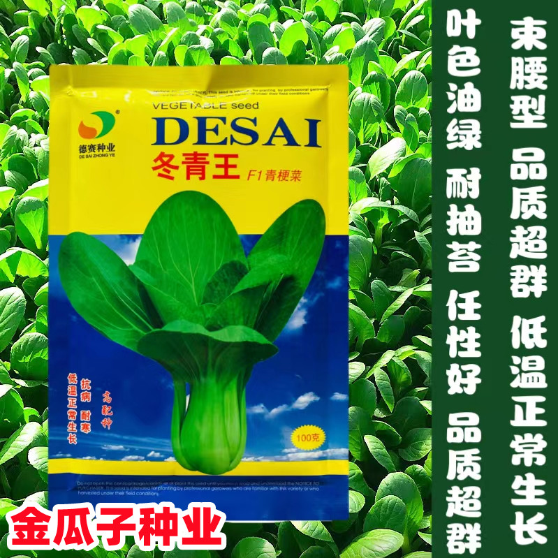 冬青王束腰苏州青种子耐寒青梗菜上海青油菜籽种农家小青菜蔬菜孑