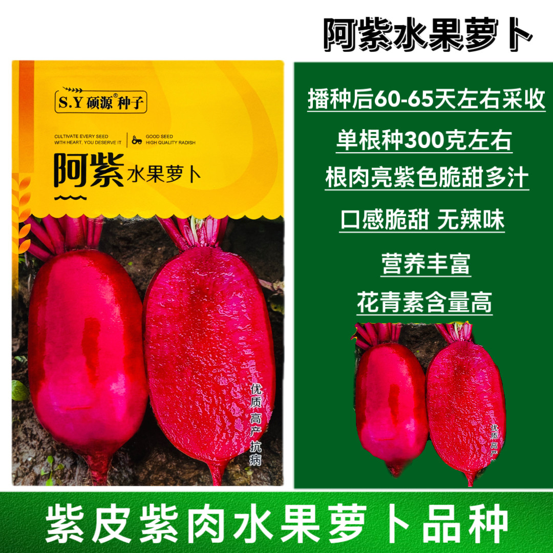 阿紫水果萝卜种子凤梨红心水果萝卜种子红皮满堂红心里美夏季春秋