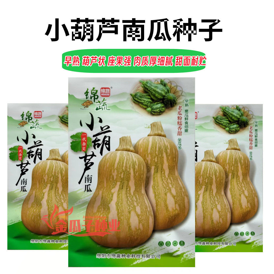 小葫芦南瓜早熟肉厚细腻耐贮味甜