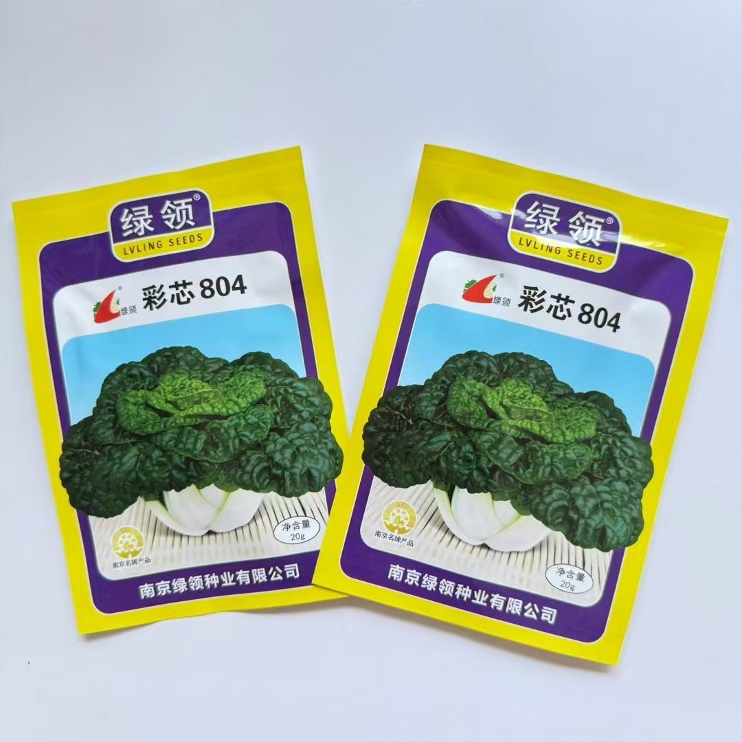 绿领彩芯804种子塌地乌塌棵菜菊花芯种籽杂交矮颗耐寒黄心乌种子