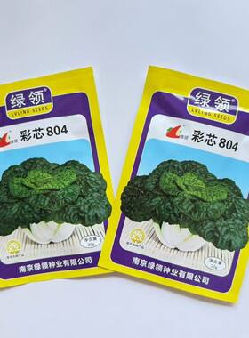 绿领彩芯804种子塌地乌塌棵菜菊花芯种籽杂交矮颗耐寒黄心乌种子