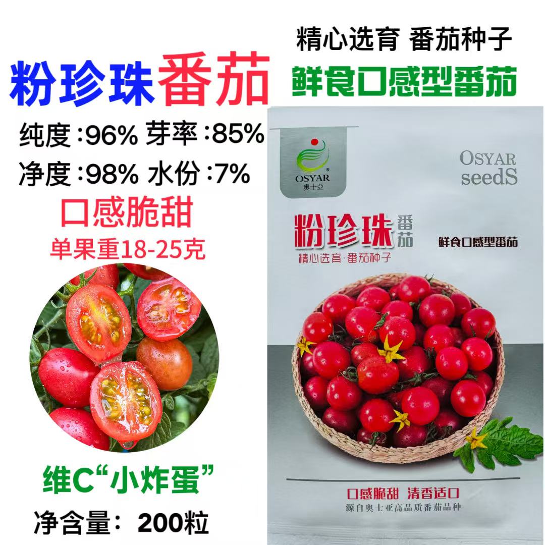 粉珍珠番茄种子无限生长型粉红小番茄种籽口感脆甜圣女果千禧柿子