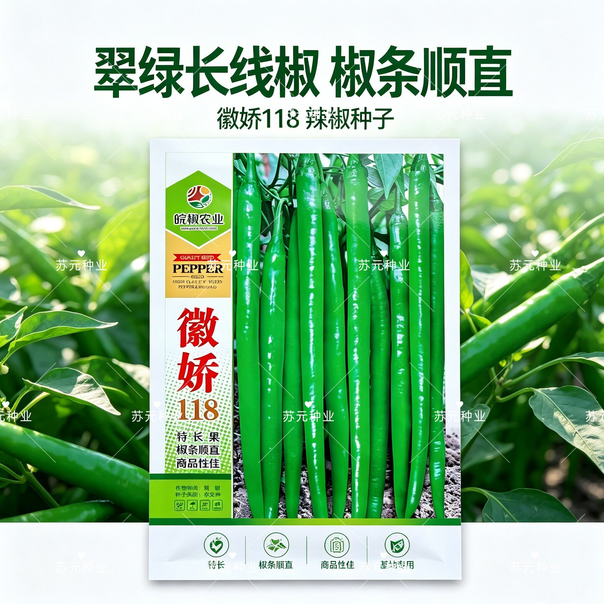 徽娇118线椒种子大果加长型线椒抗病毒高产辣味浓钝尖型辣椒种孑