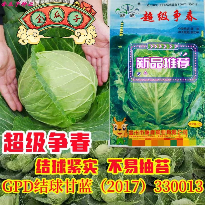 甘蓝种子早熟优质高产抗病不抽苔