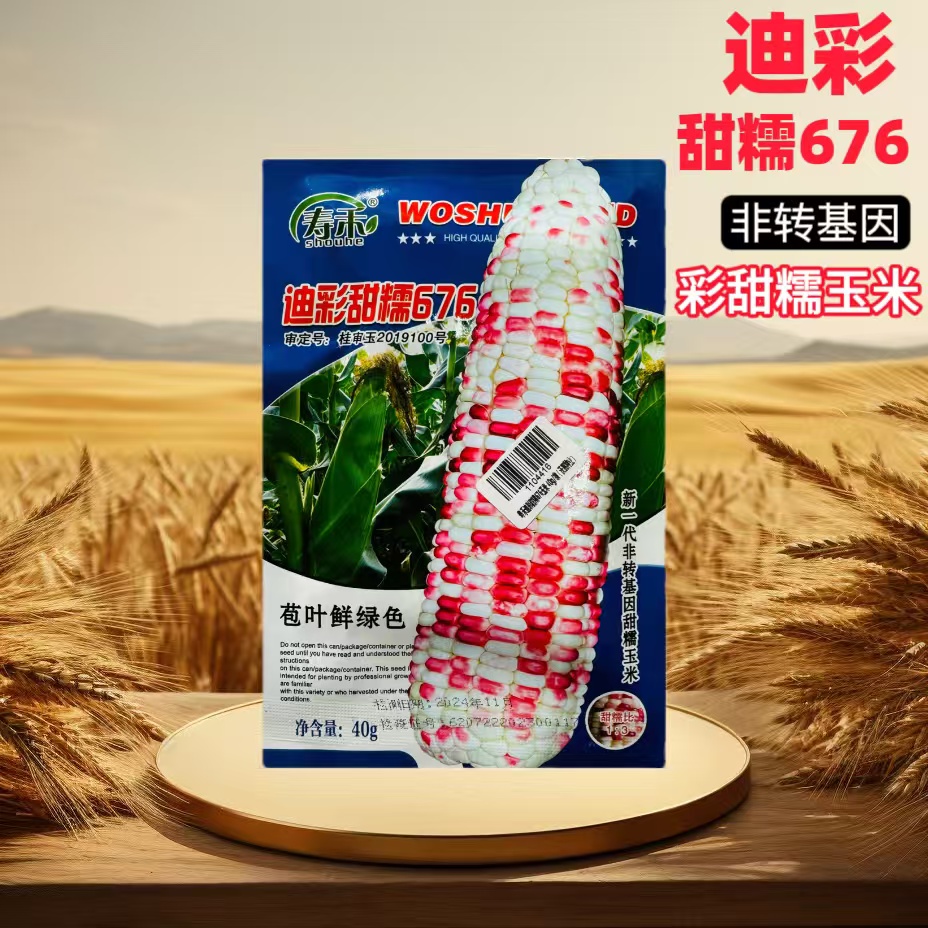 迪彩甜糯676种子矮杆大棒糯甜玉米种籽抗倒伏抗病春秋季播花玉米