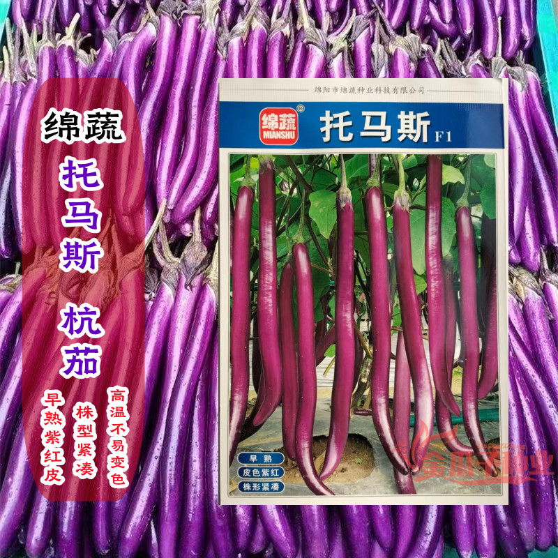 托马斯杭茄线茄顺直美观薄皮紫红