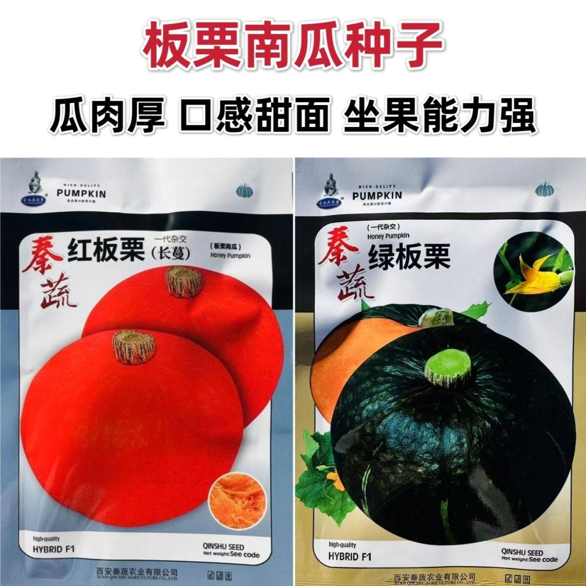 秦蔬红板栗南瓜种子高产甜面绿板栗南瓜种子春秋甜栗红南瓜种籽