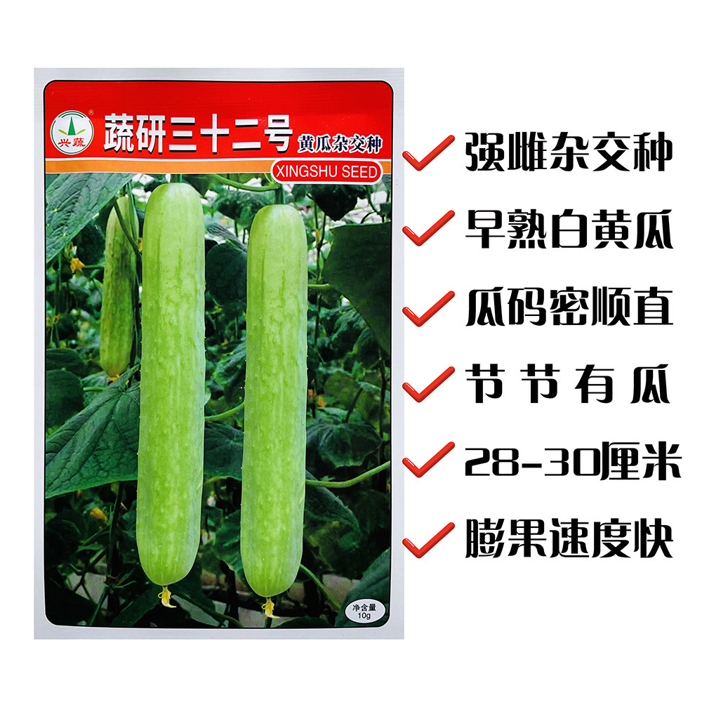 蔬研三十二号黄瓜种子早熟杂交白黄瓜种籽节节有瓜瓜条顺直无苦味