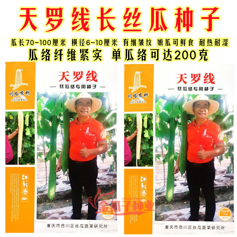 天罗线丝瓜络种子早熟高产鲜嫩