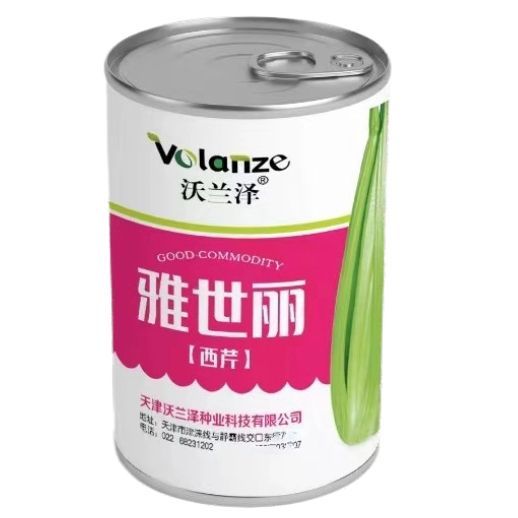 雅世丽西芹种子法国皇后西芹种籽早熟芹菜高产抗病生长快速纤维少