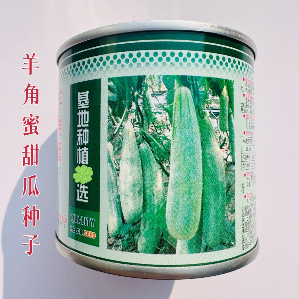 羊角蜜甜瓜种子农家春播羊角瓜种籽甜脆多汁水果瓜果酥肉甜瓜种孑
