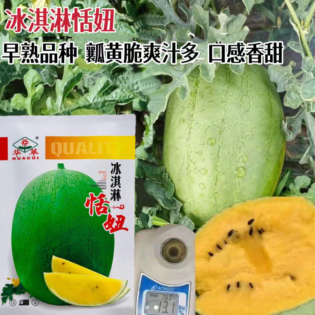 华萃冰淇淋恬妞西瓜种子早熟黄瓤皮薄肉厚小西瓜种农家菜园礼品瓜