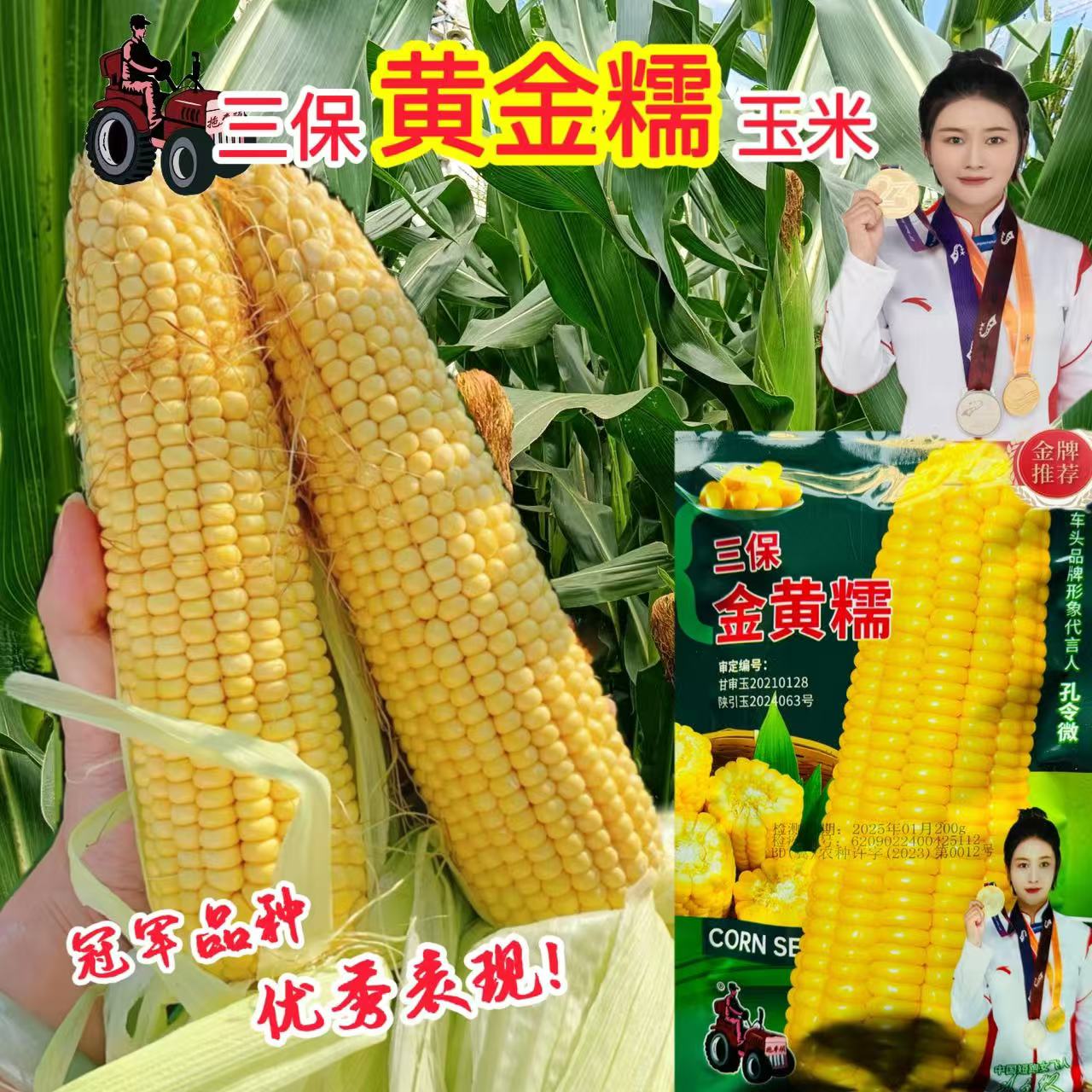 拖车头三保金黄糯玉米种子糯质型绿皮大棒粘糯鲜香鲜食糯玉米种籽