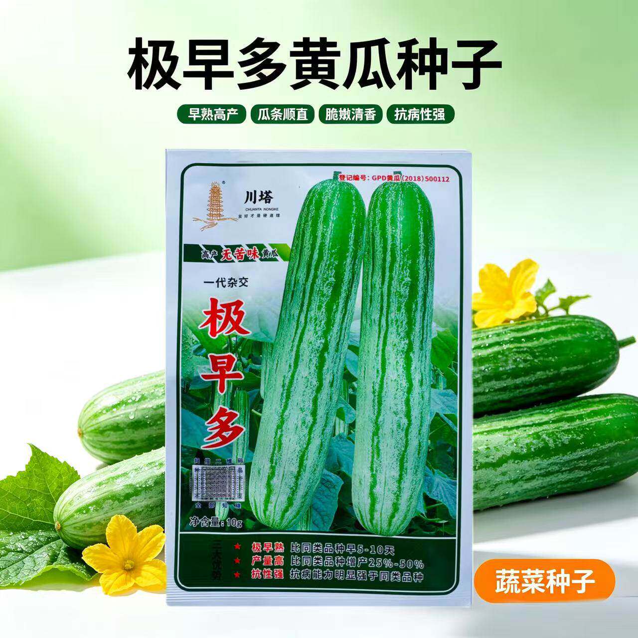 川塔极早多黄瓜种子杂交无苦味绿白色早熟黄瓜种子耐寒高抗病种籽