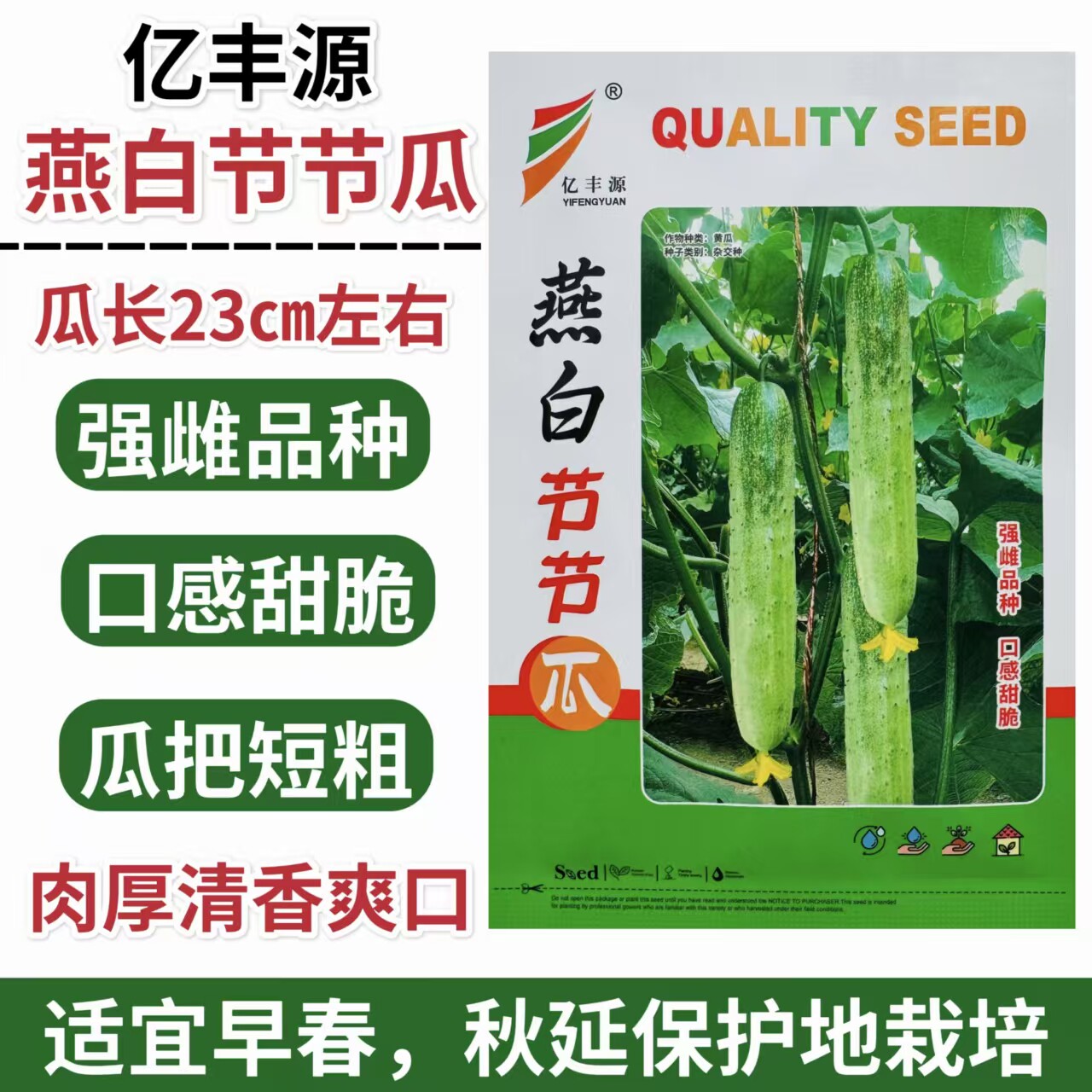 燕白节节瓜黄瓜种子早熟口感脆甜黄瓜种子春秋播种蔬菜种子