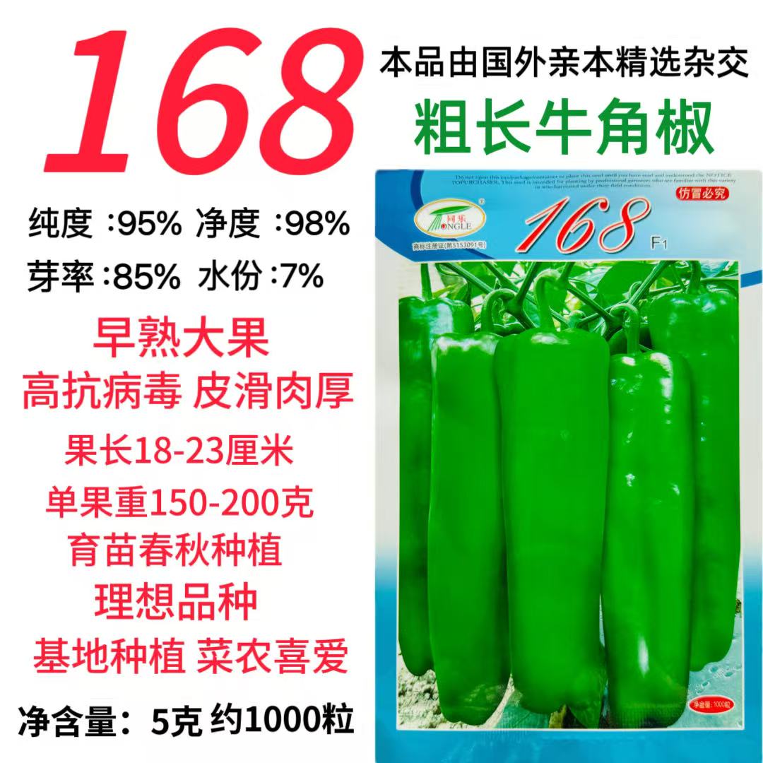 同乐168辣椒种子中早熟国外杂交育种粗长牛角型高产耐高温牛角型