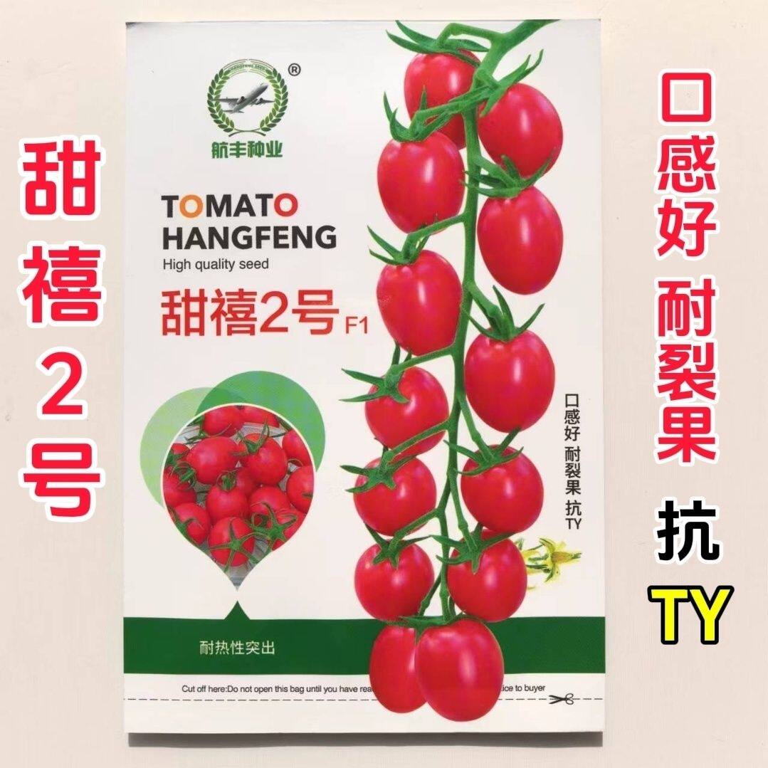 甜禧2号高秧粉红小番茄种子早春越夏耐热新品种口感好糖度高
