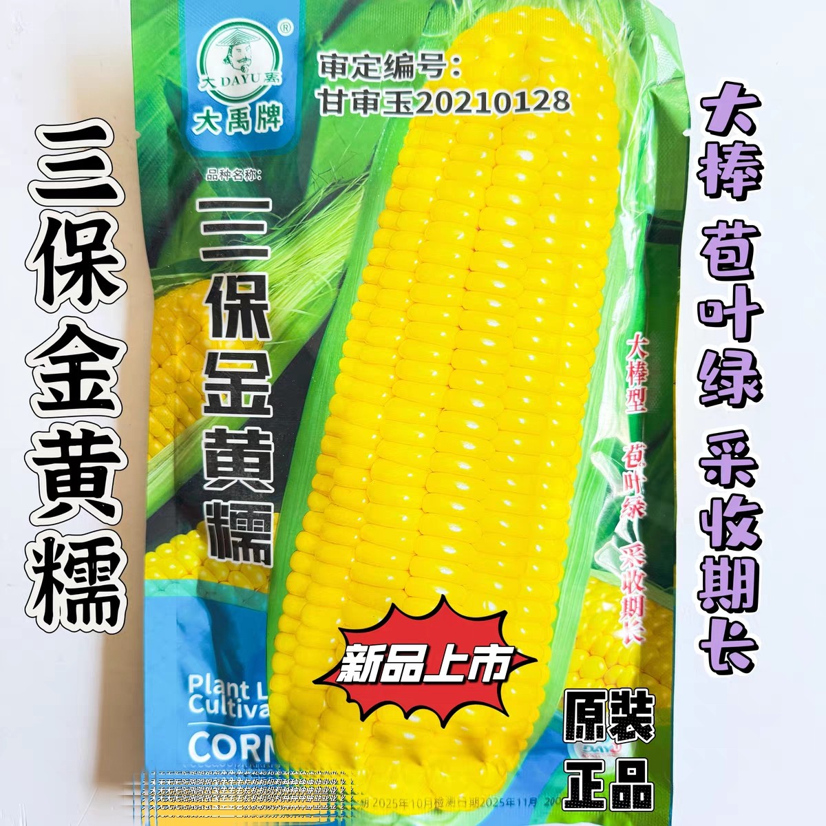 三保金黄糯甜糯玉米种子黄色糯玉米春夏季粘甜玉米种籽孑籽种黏香