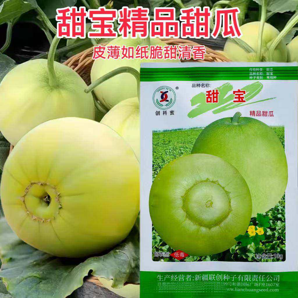 甜宝甜瓜种子早熟薄皮香瓜种子高糖高产抗病商品性佳春播