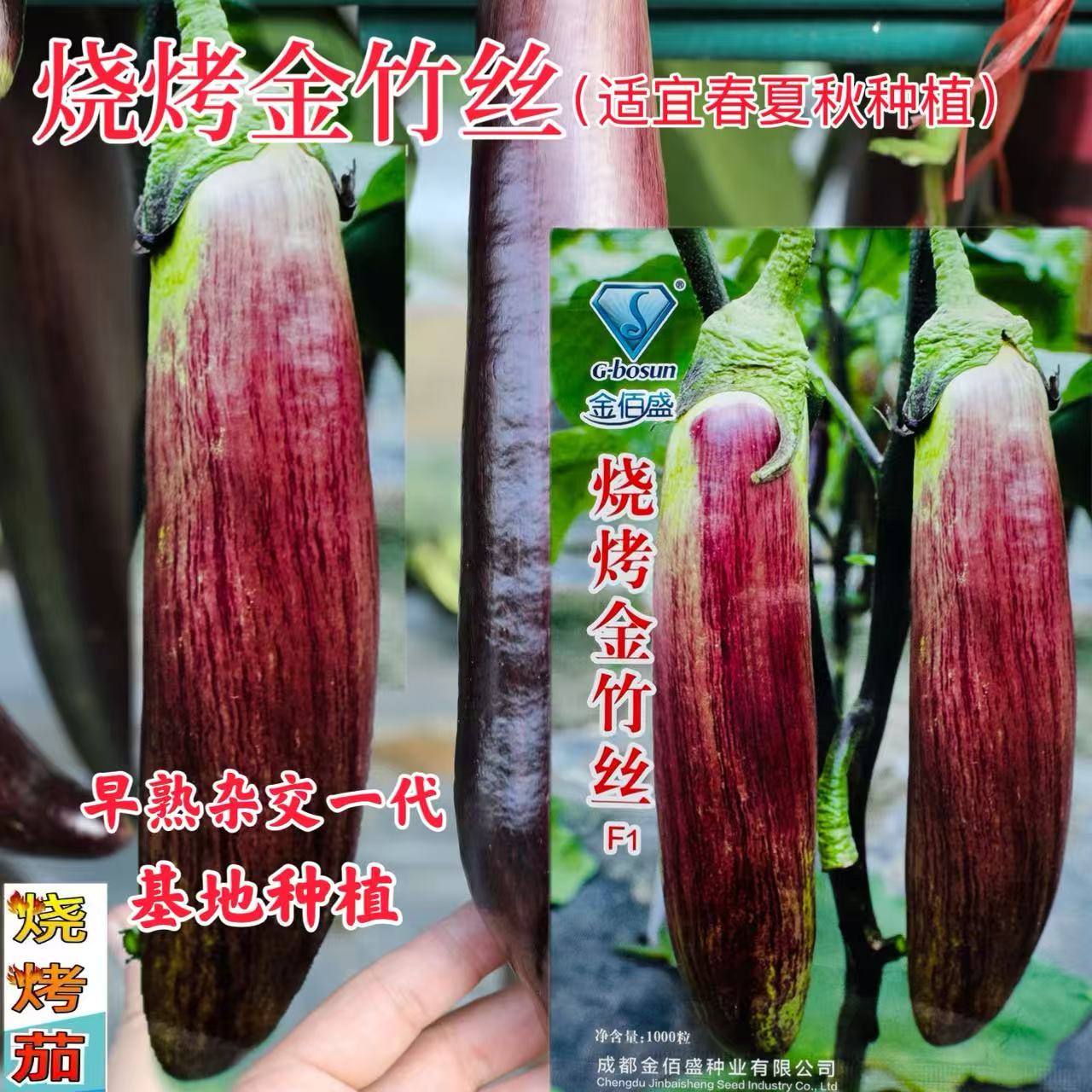 烧烤金竹丝茄种子耐味甜长茄中熟花茄子高产抗病阳台家庭蔬菜种子