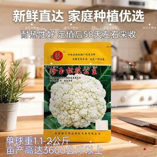 珍玉松花公主花菜种子孑花球整齐优质早熟松花菜种籽耐热抗逆性强