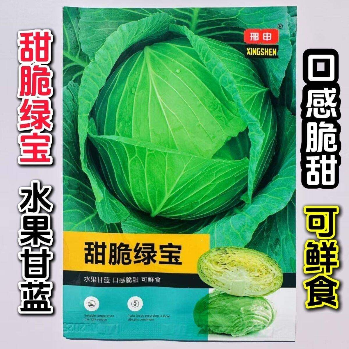 甜脆绿宝扁圆中熟水果甘蓝种子结球紧实平整口感脆嫩春秋蔬菜种子