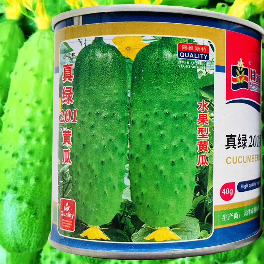 珍绿201水果黄瓜脆甜高产肉厚