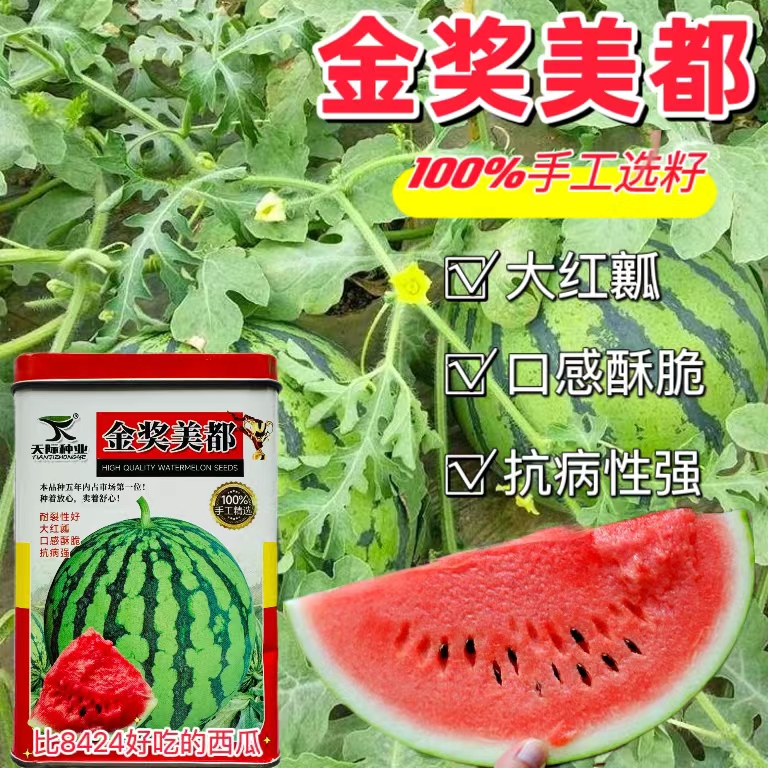 金奖美都西瓜种子耐裂超甜抗重茬西瓜种籽麒麟瓜8424水果蔬菜种孑