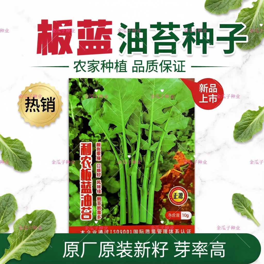 板蓝根青菜种子利农板蓝根油菜苔种籽阳台春秋盆栽清甜油菜苔蔬菜