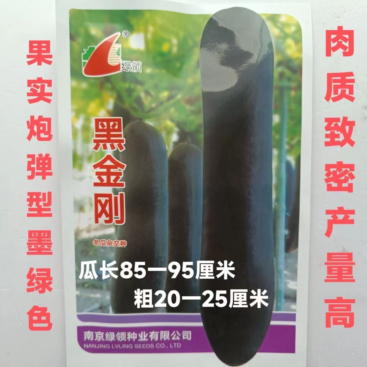绿领黑金刚黑皮冬瓜种籽高产抗病春秋炮弹型长黑皮冬瓜种子