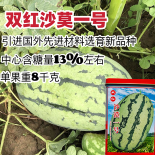 双红沙漠一号西瓜种子易坐果抗病王西瓜种孑红皮薄耐运输花皮包邮