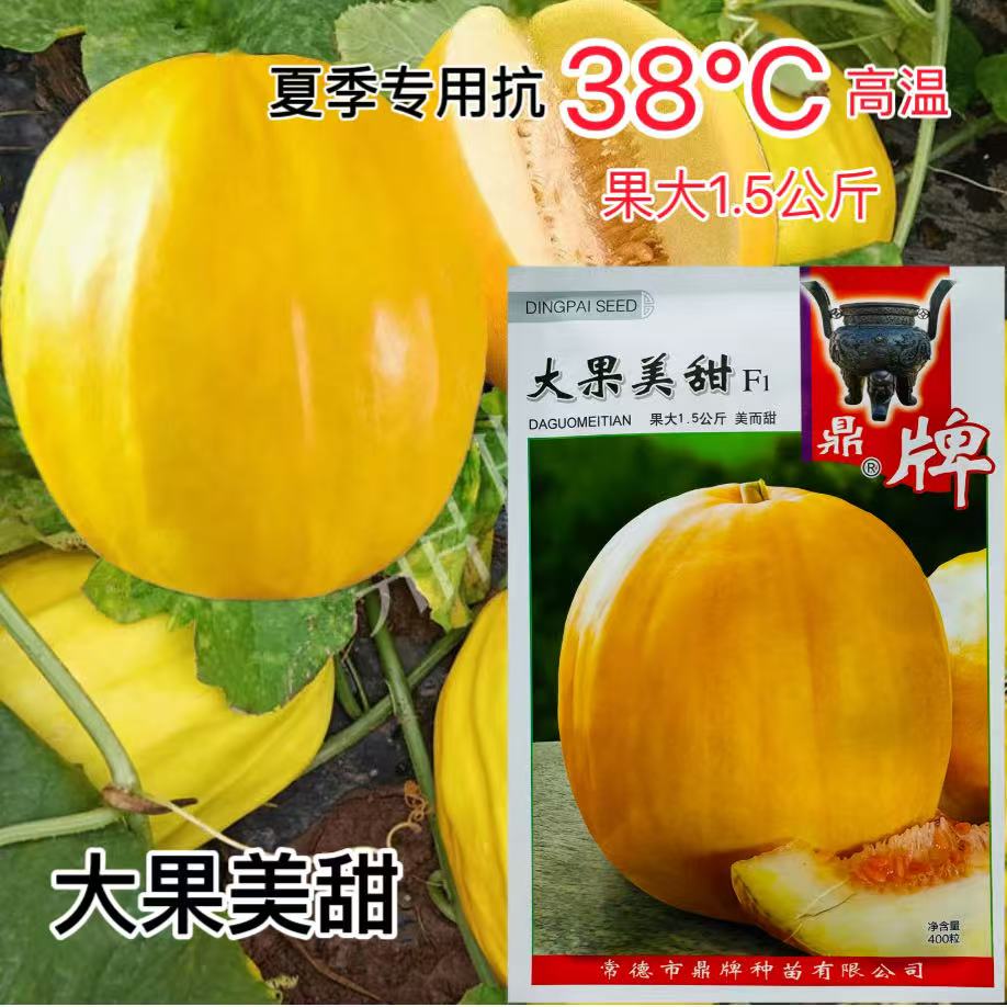 鼎牌大果美甜薄皮甜瓜种子早熟高产黄皮香瓜丑八怪瓜果种籽孑水果