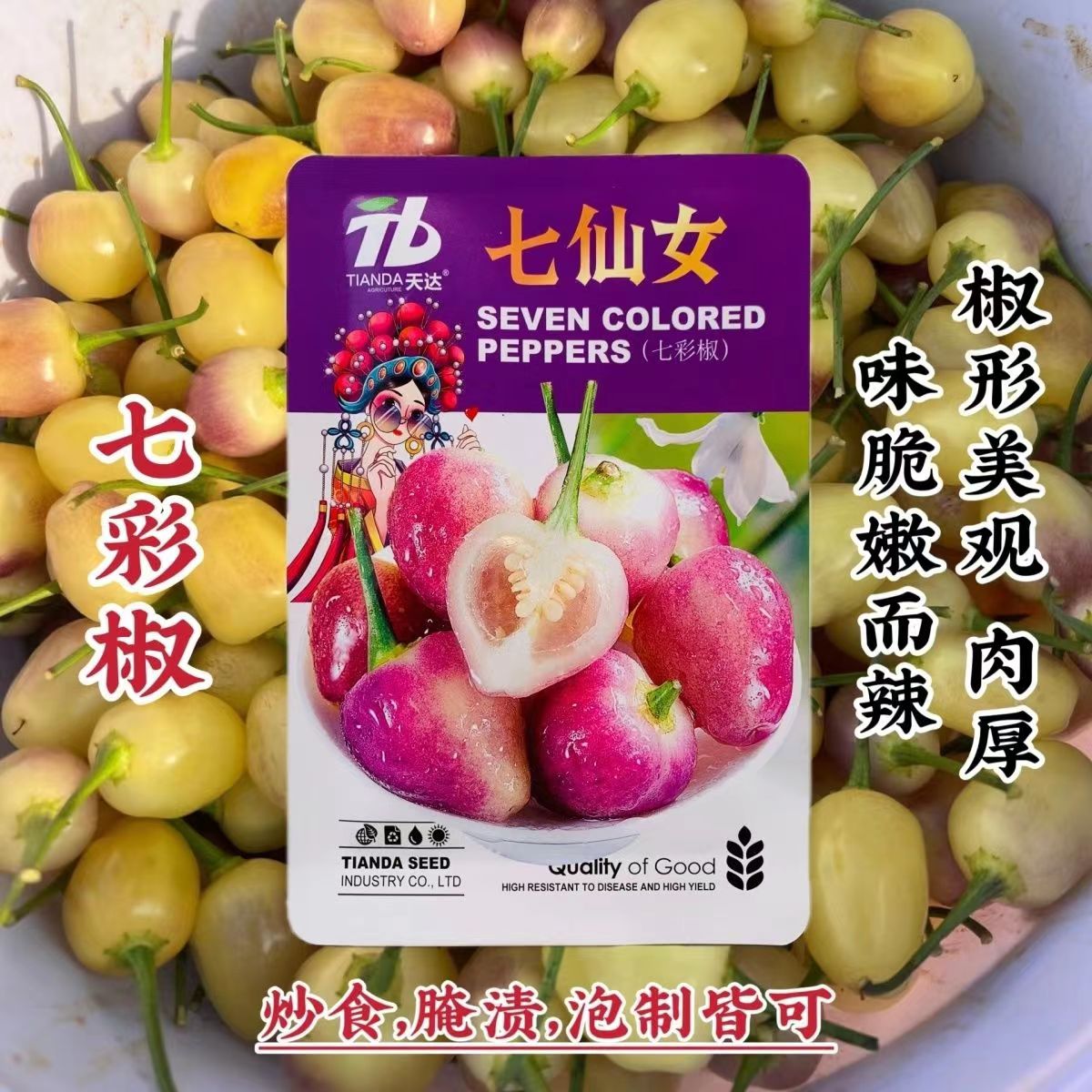 可食用七彩椒种子正品七仙女彩椒种籽脆嫩而辣肉厚新品种泡椒种子