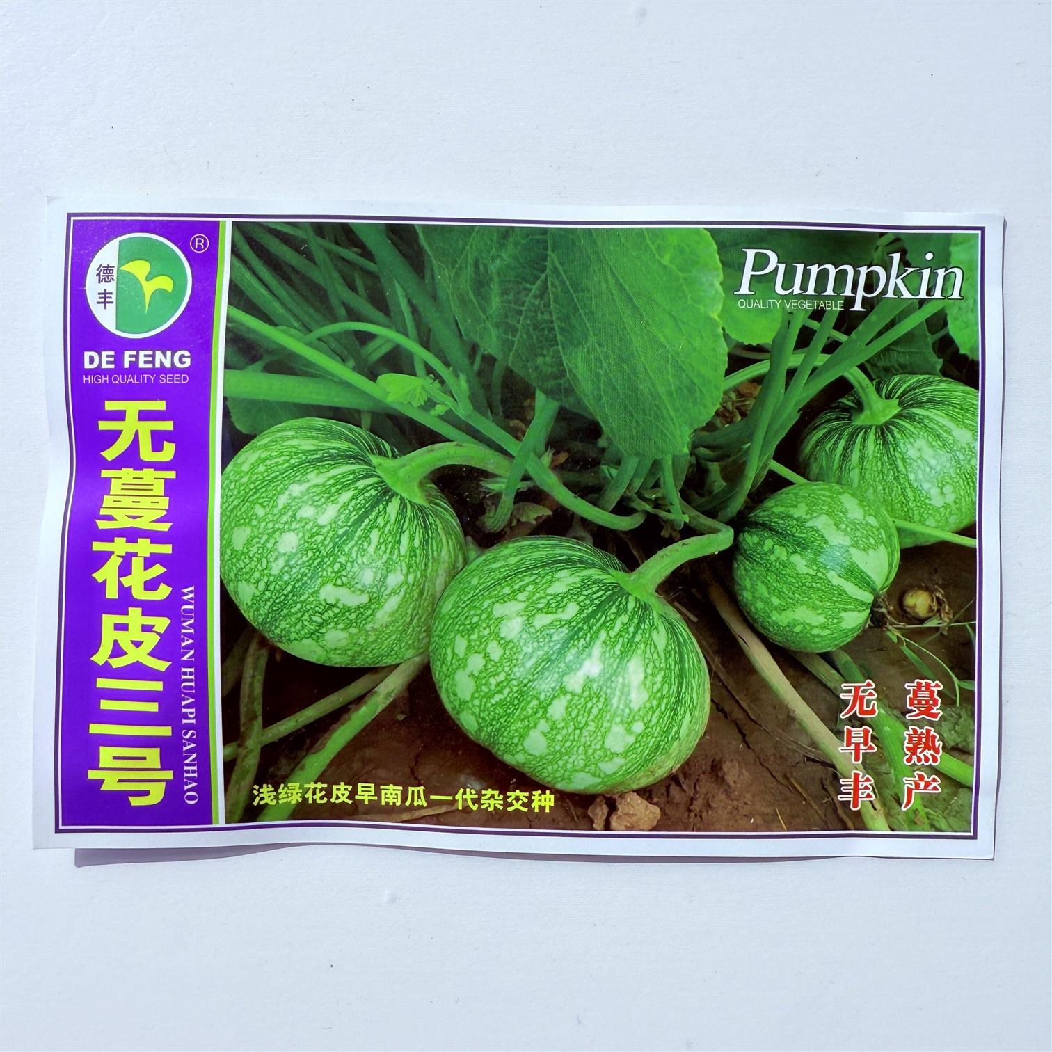 无蔓花皮三号南瓜种子早熟花皮菜南瓜嫩南瓜种籽厚肉脆嫩蔬菜籽孑