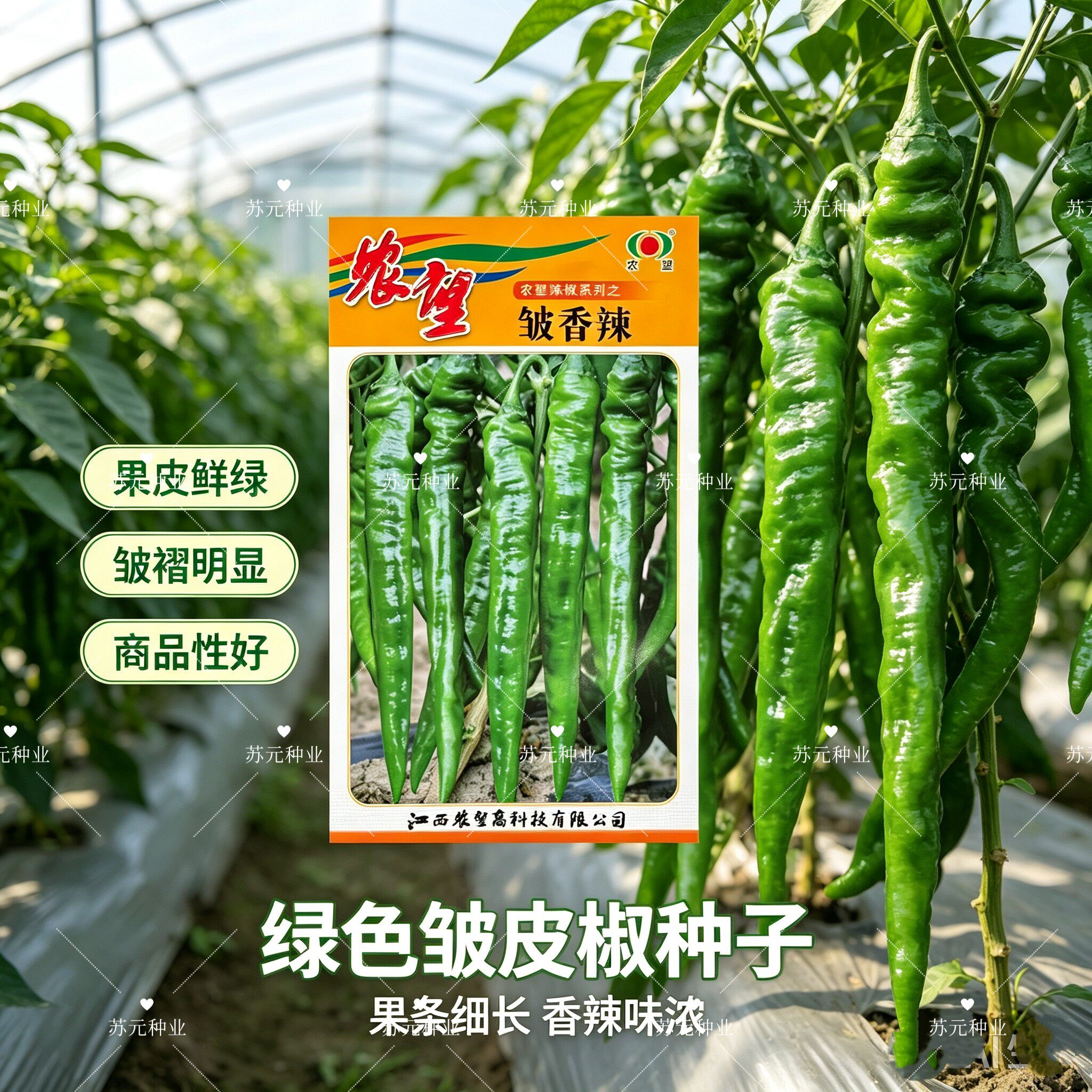农望皱香辣辣椒种子早熟皮薄辣味浓口感好软皮膨果快高产羊角椒籽