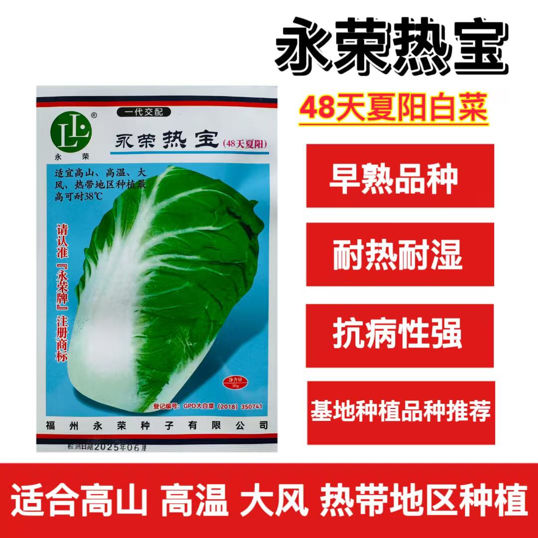 永荣热宝48天夏阳白菜种子早熟耐高温纤维少色淡绿夏阳白菜种籽孑