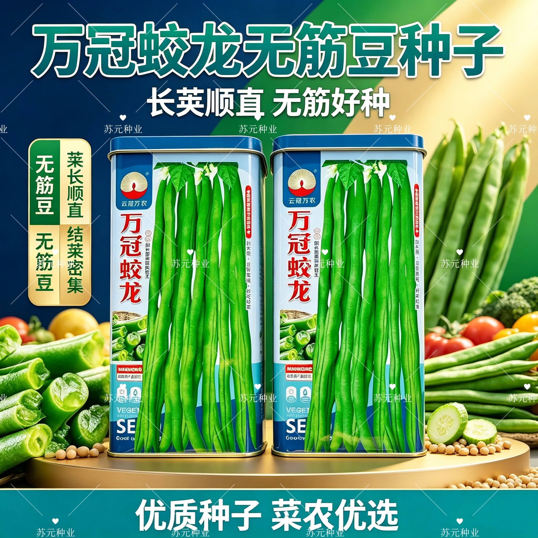 万冠蛟龙架豆种子中熟蔓生浅绿荚鲜嫩无纤维春秋加长型泰国架豆王