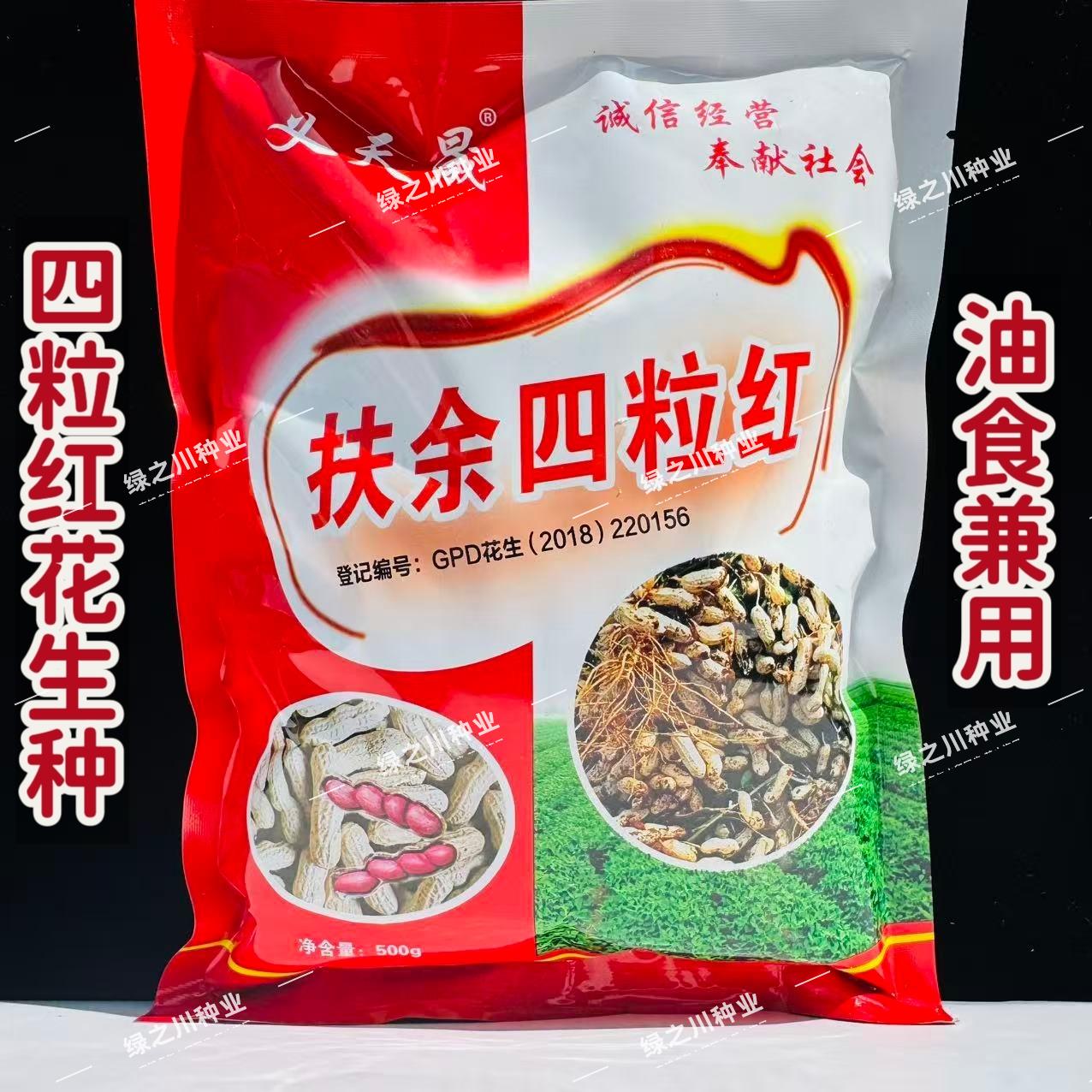 扶余四粒红花花生种子山东大田用种多粒花生种籽食用鲜食油用花生