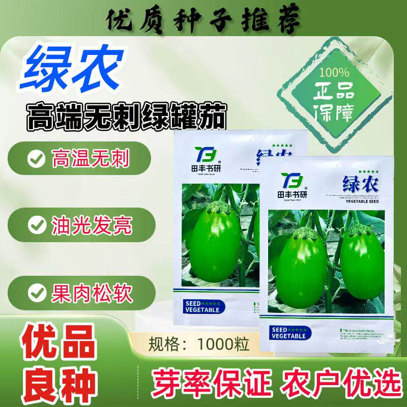 绿农无刺绿罐茄种子灯泡茄种籽大果油绿杂交高温不易变色春秋种植
