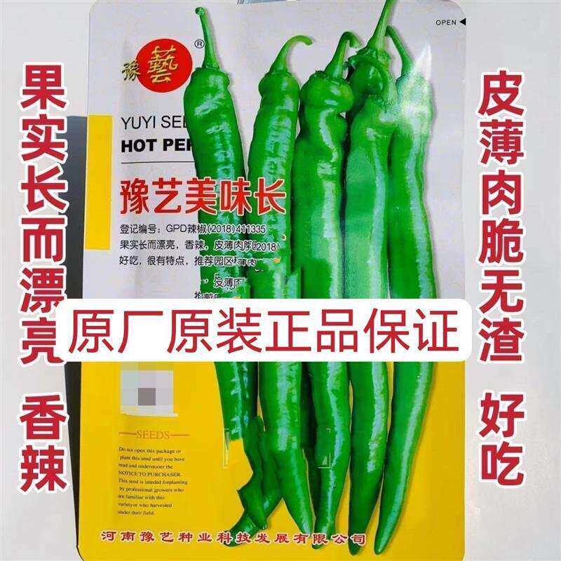 豫艺美味长辣椒种子特长羊角椒种子浅绿皮好吃香辣皮薄肉脆无渣