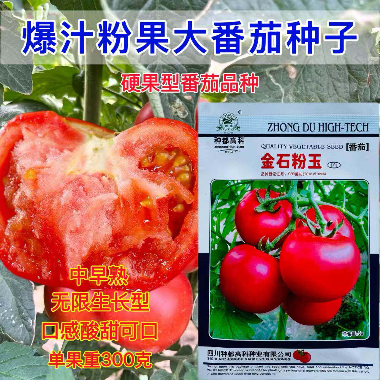 金石粉玉番茄种子粉果大西红柿种子高产抗病耐低温早春保护地露地
