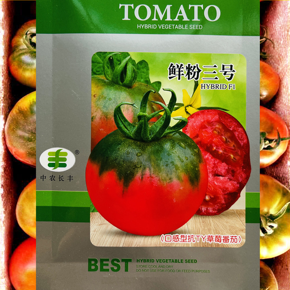 鲜粉三号番茄种子高产西红柿种籽早熟带绿肩草莓番茄种籽四季种籽